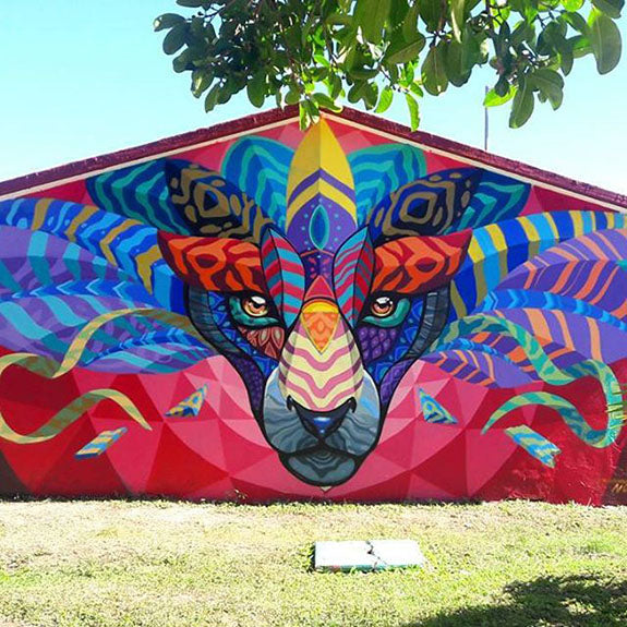 Farid Rueda: Icona dello Street Artist Messicano