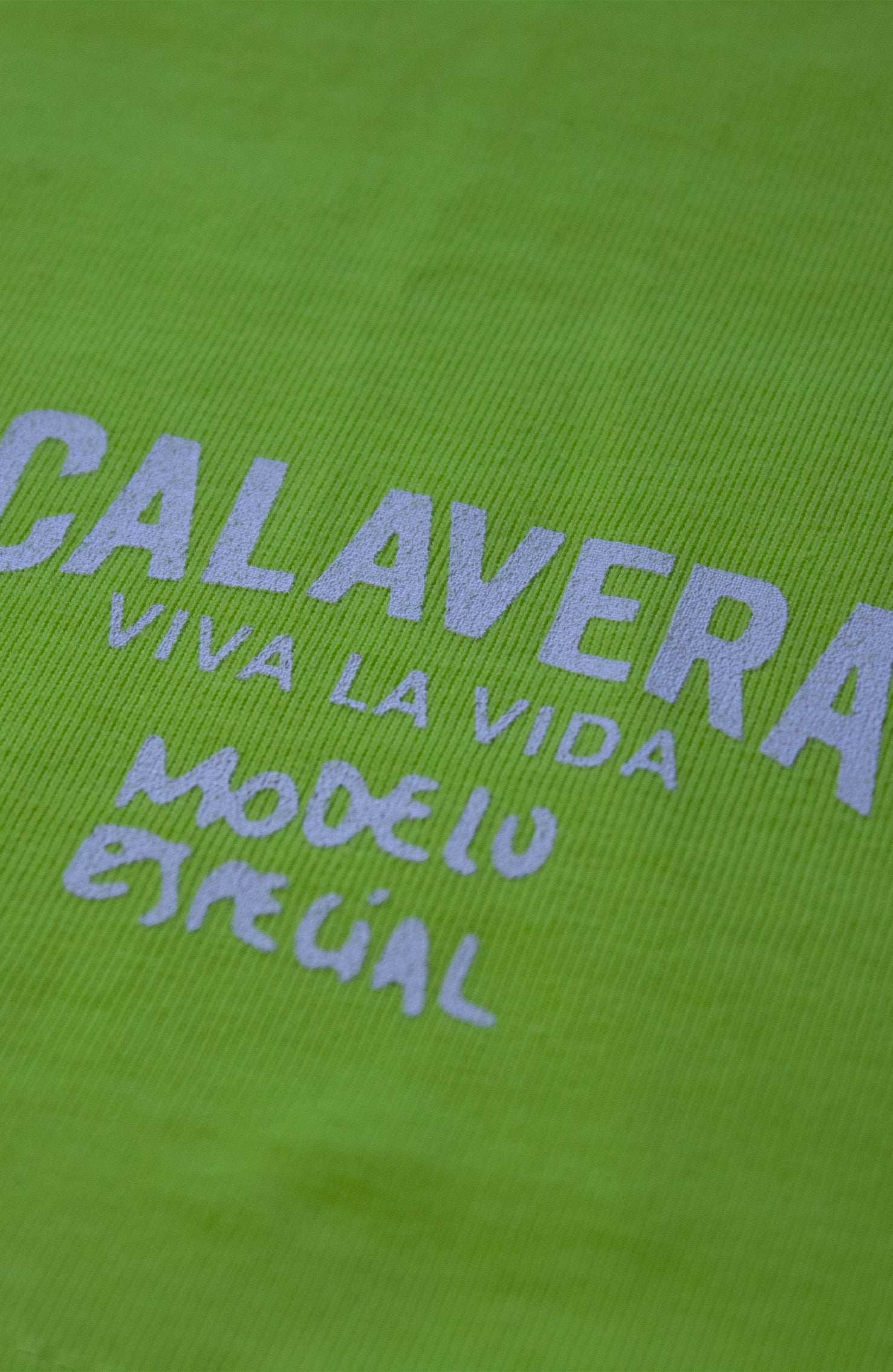 Maglietta artigianale disegnata da Dr Stamp con simboli messicani da uomo verde